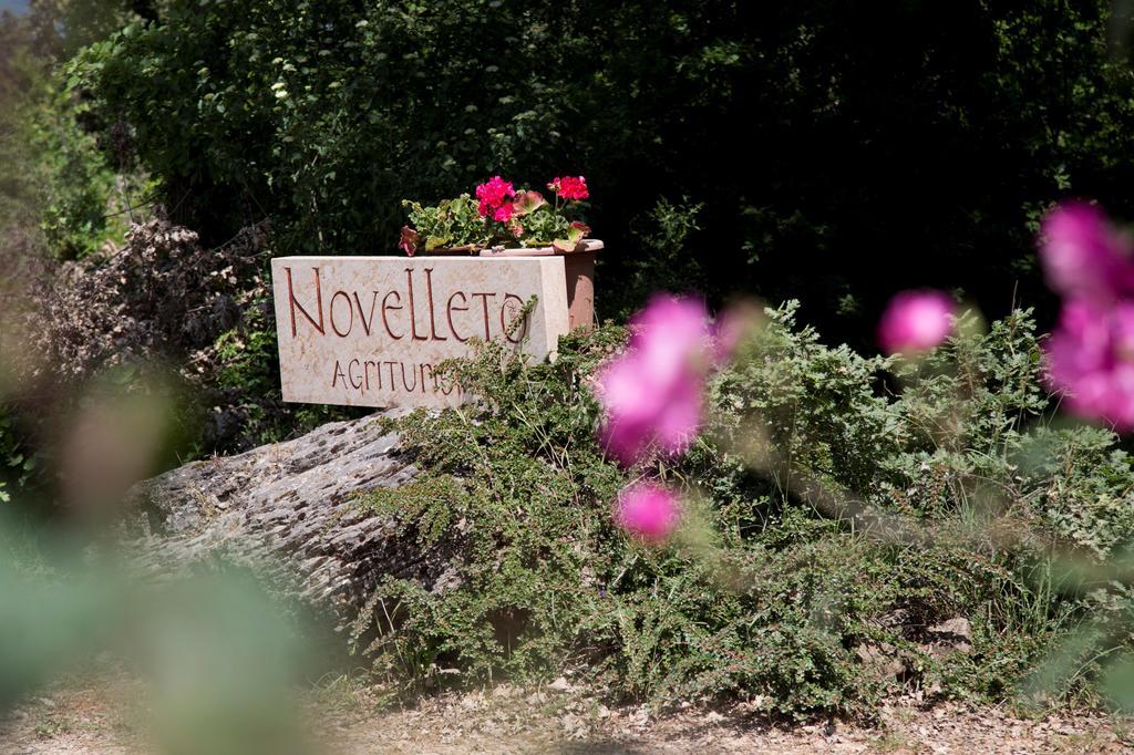 Novelleto Vila Monteriggioni Exterior foto