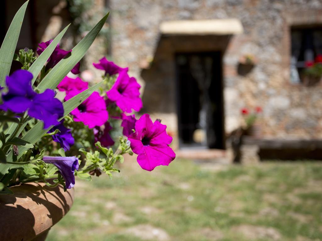 Novelleto Vila Monteriggioni Exterior foto