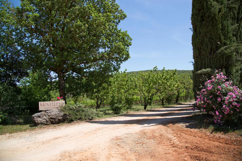 Novelleto Vila Monteriggioni Exterior foto